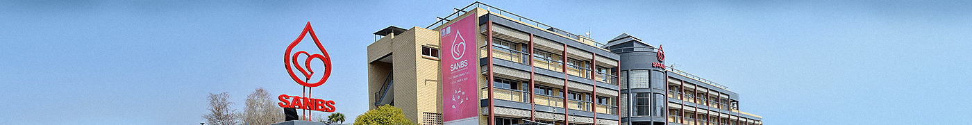 sanbs_new_banner_buildings01